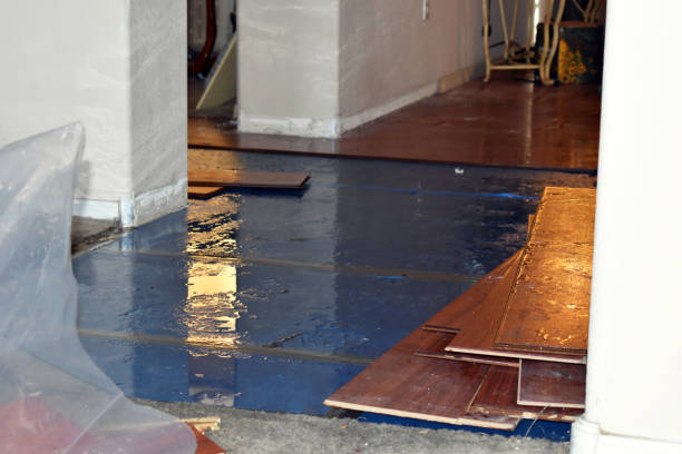 Professional Flood Cleanup technician working in Buchanan, MI